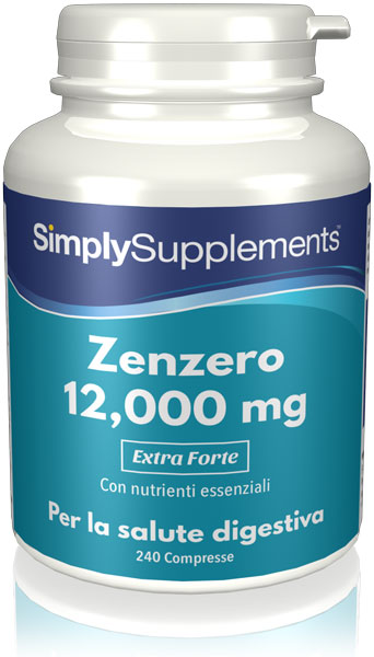 240 Tablet Tub - ginger supplement