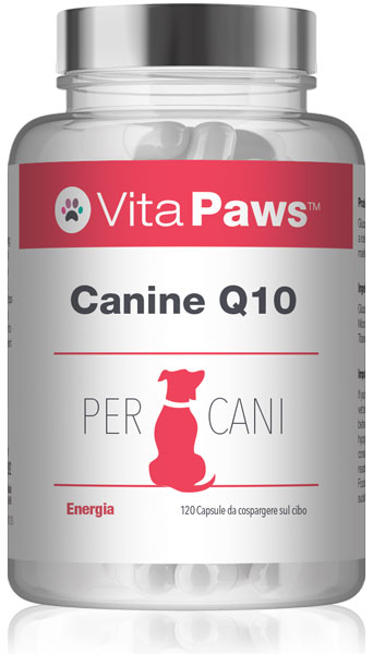 Canine Q10